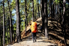 trekking