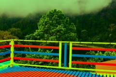 28E608EB-2313-4061-A403-DD1B60E33EA9-1-Copy