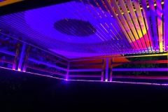 IMG_9893